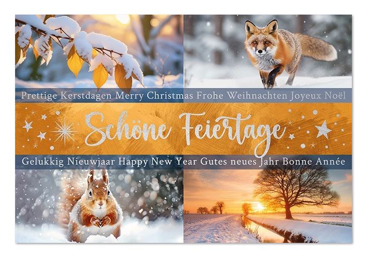 Internationale Spendenkarte mit Fotocollage wunderschöner Natur- und Tierbilder für Make a Wish Deutschland