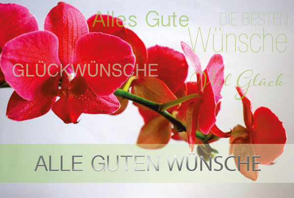 Glückwunschkarte mit pinkroter Orchideenblüte und Silberfolienprägung