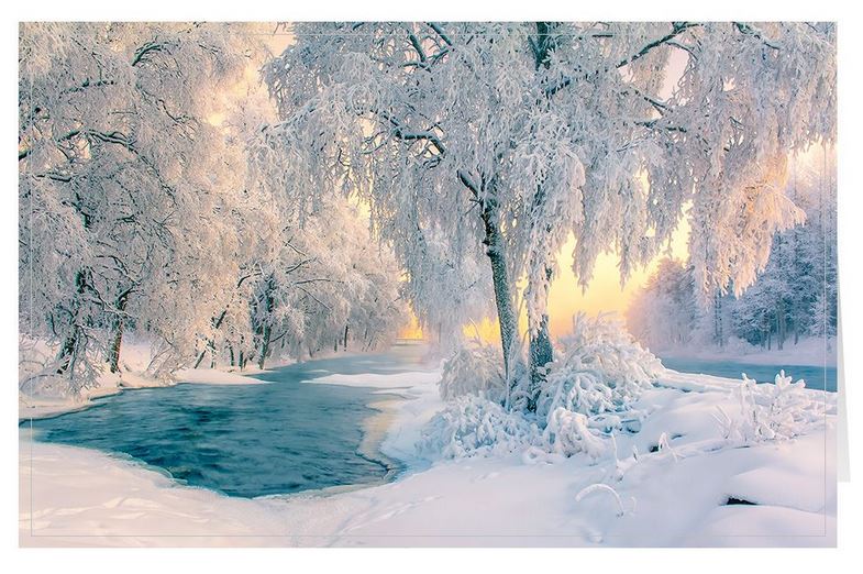 Winterliche Weihnachtskarte mit Flusslandschaft und vereisten Bäumen in der Abenddämmerung