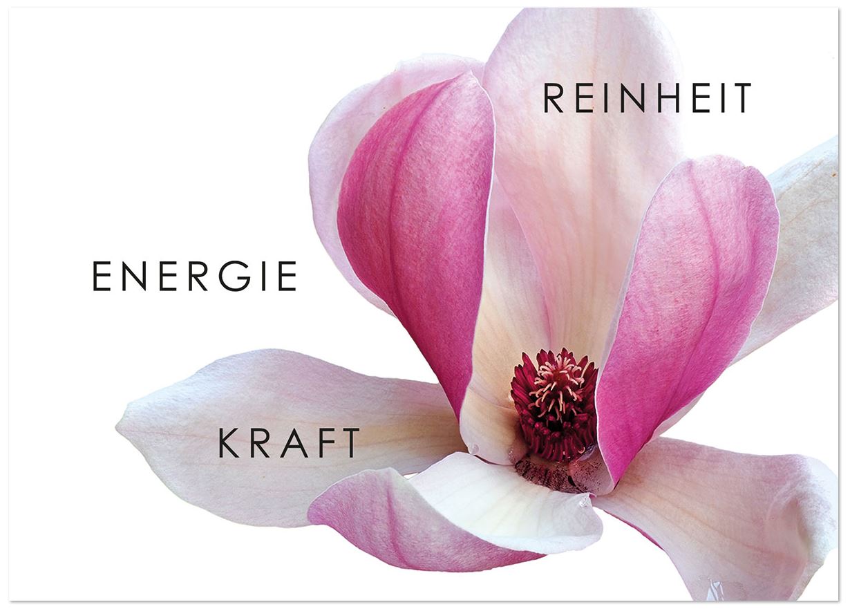 Florale Glückwunschkarte mit wunderschöner Magnolienblüte und passenden Schlagworten