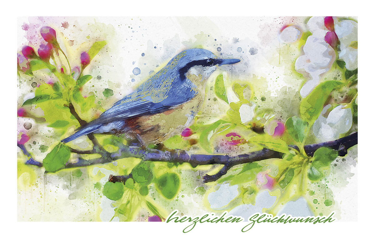 Aquarell-Glückwunschkarte mit einem blauem Eisvogel und einem blühenden Zweig