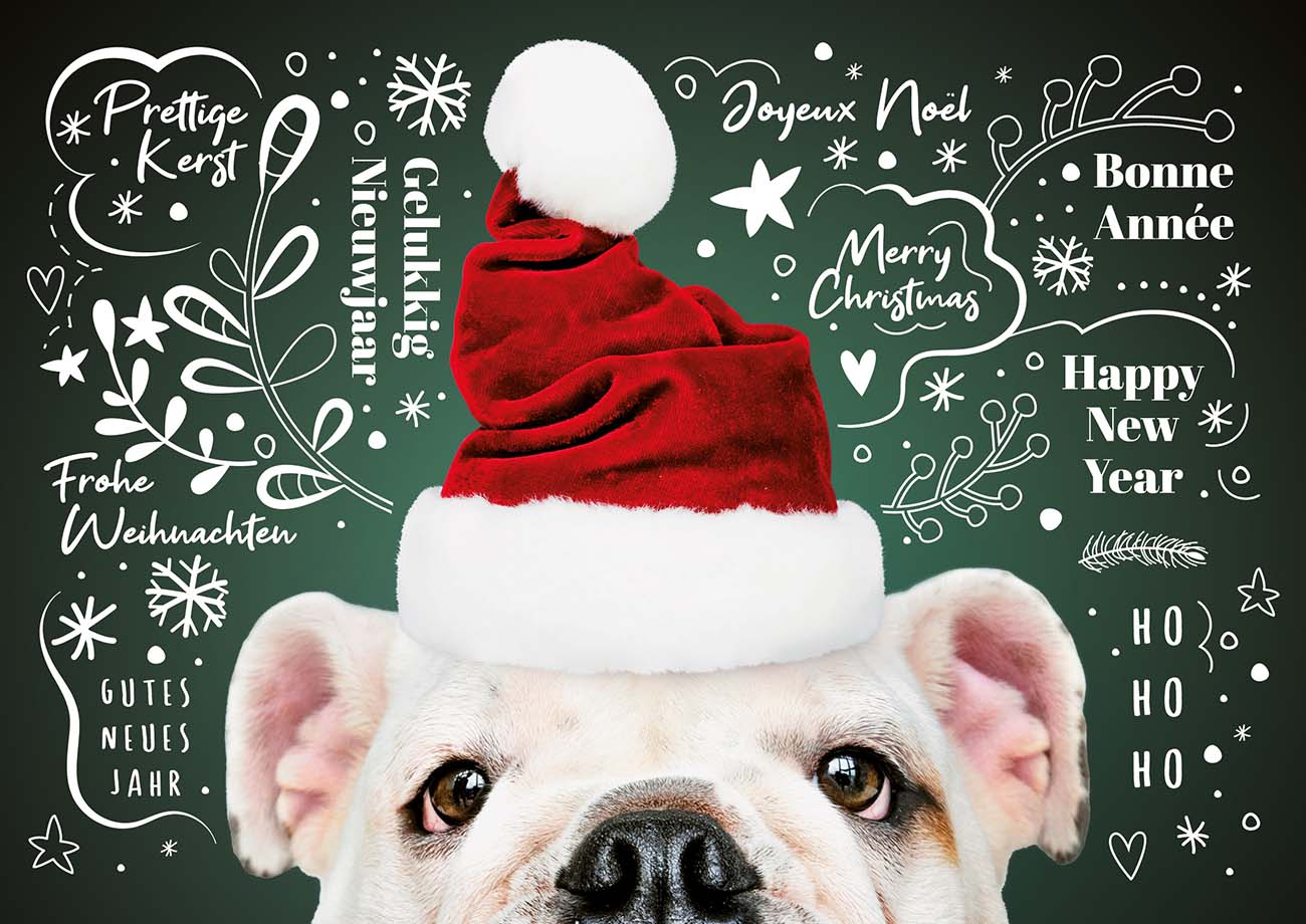 Tierische Weihnachtskarte mit einem goldigen Hund, roter Weihnachtsmütze und Grüßen