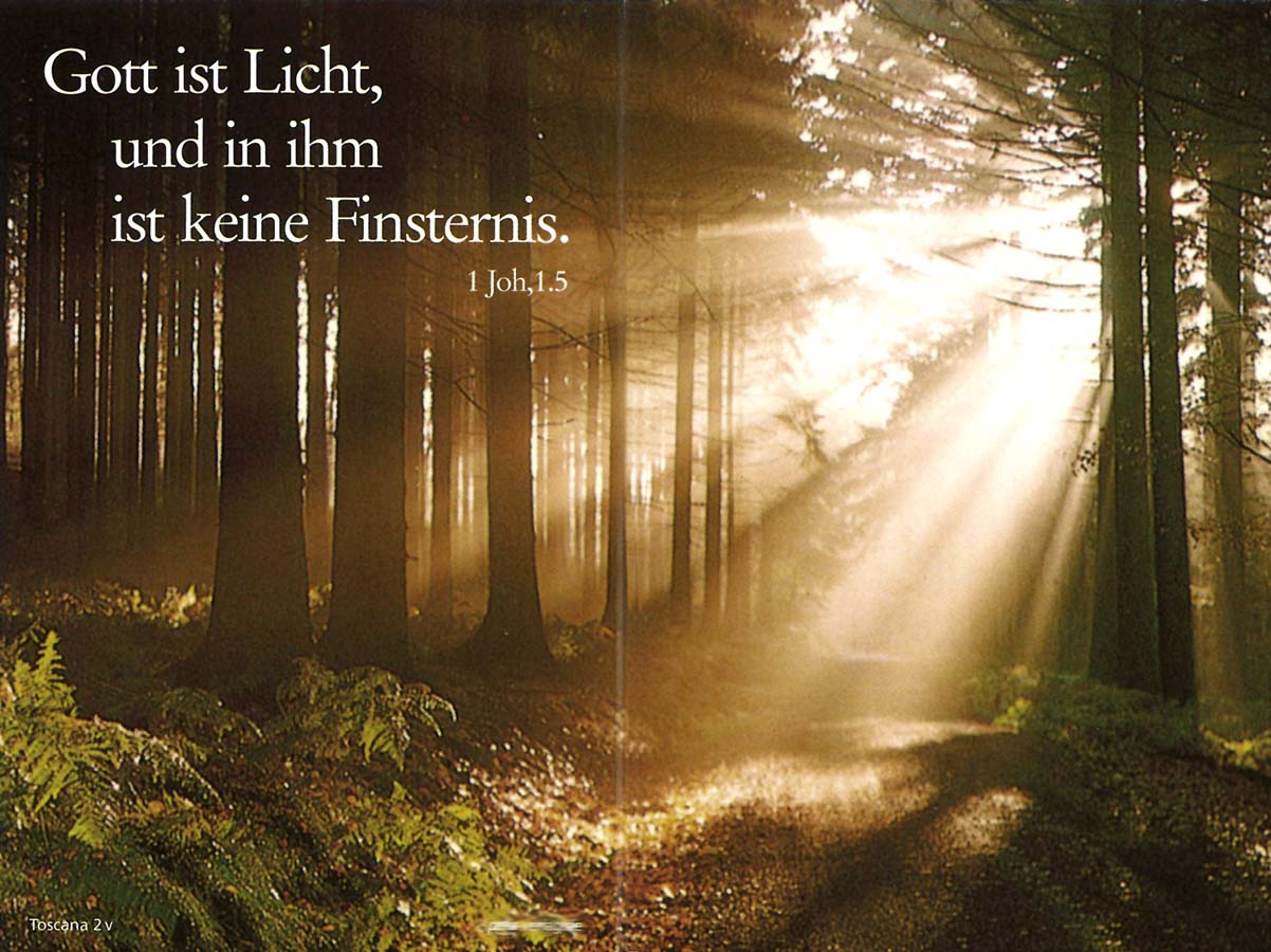 Trauer Erinnerungsbild lichtdurchfluteter Wald mit Spruch 1 Joh, 1.5