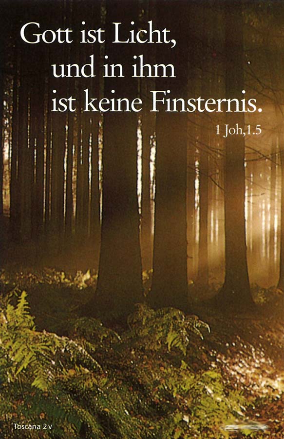 Rückseite Trauer Erinnerungsbild lichtdurchfluteter Wald mit Spruch 1 Joh, 1.5