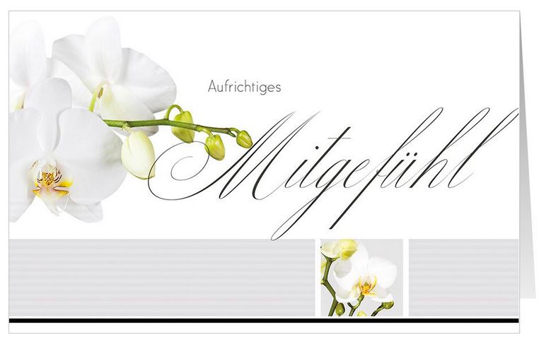 Kondolenzkarte mit weißer Blüte und "Aufrichtiges Mitgefühl"