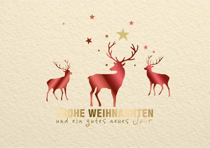 Cremefarbene Weihnachtskarte mit roten Hirschen, Sternen und "Frohe Weihnachten und ein gutes neues jahr"