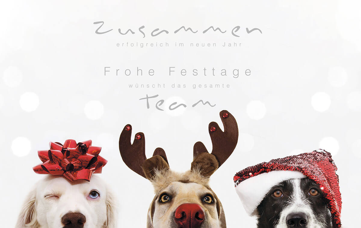 Team-Weihnachtskarte mit drei putzigen Hunden im Weihnachtslook und geschäftlichen Grüßen