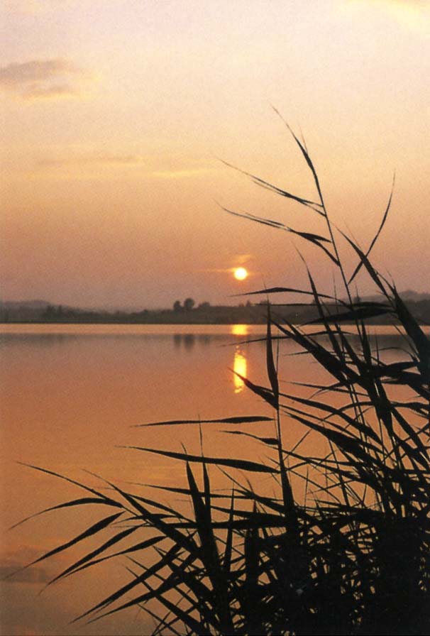 Trauer-Erinnerungsbild mit Wasserlandschaft im Licht der untergehenden Sonne