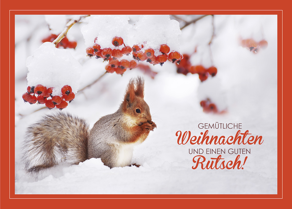 Putzige Weihnachtskarte mit kleinem Eichhörnchen im Winter unter einem roten Beerenstrauch