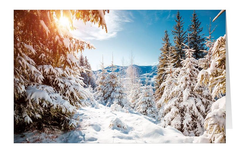 Winterliche Weihnachtskarte mit verschneiten Tannen und den Bergen bei strahlend blauem Himmel