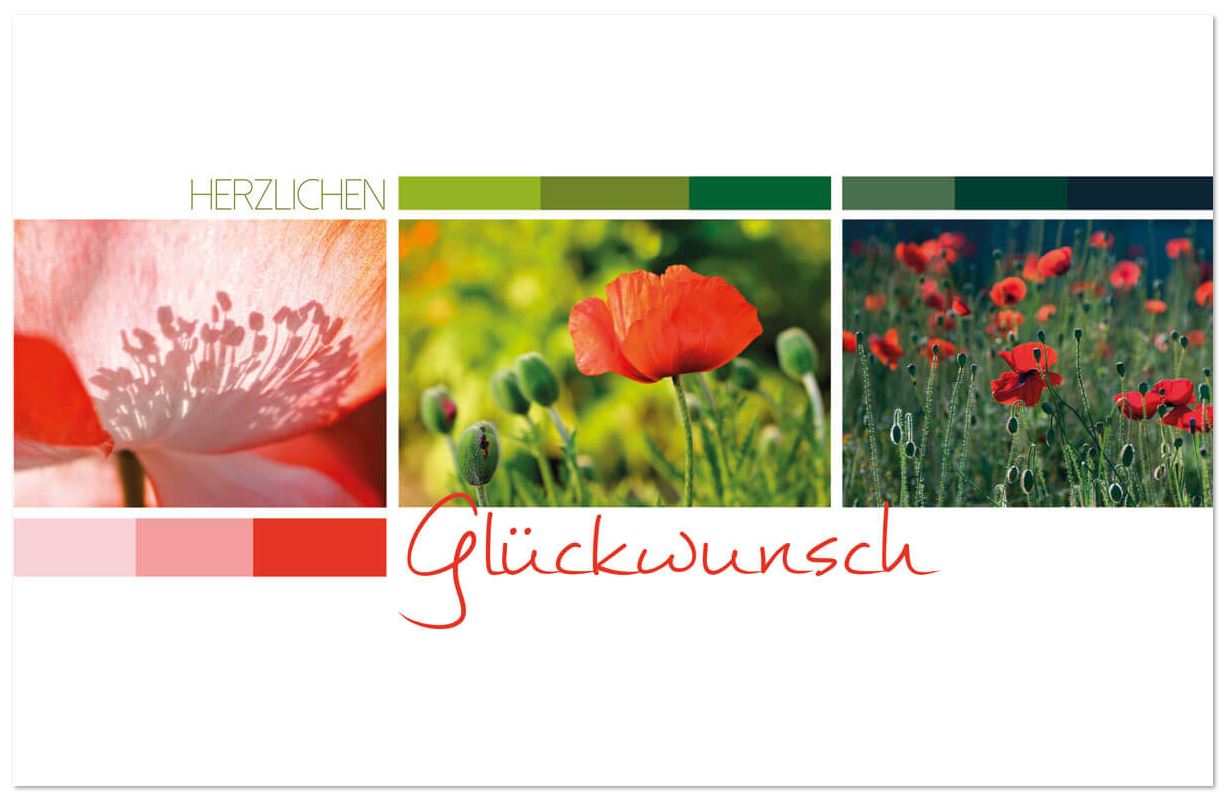 Blumige Glückwunschkarte mit Fotocollage von roten Mohnblüten und "Herzlichen Glückwunsch"