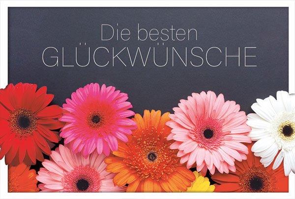 Farbenfrohe Glückwunschkarte mit Gerberas und "Die besten Glückwünsche"