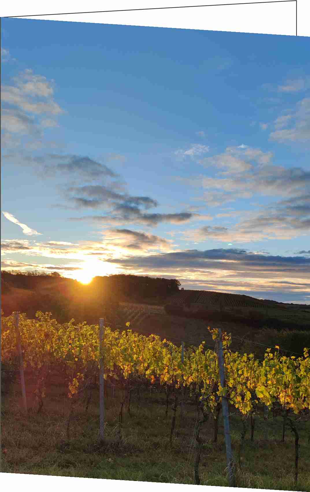 Trauer Erinnerungsbildchen Klappkarte, mit Fotodruck Sonnenaufgang im Weinberg