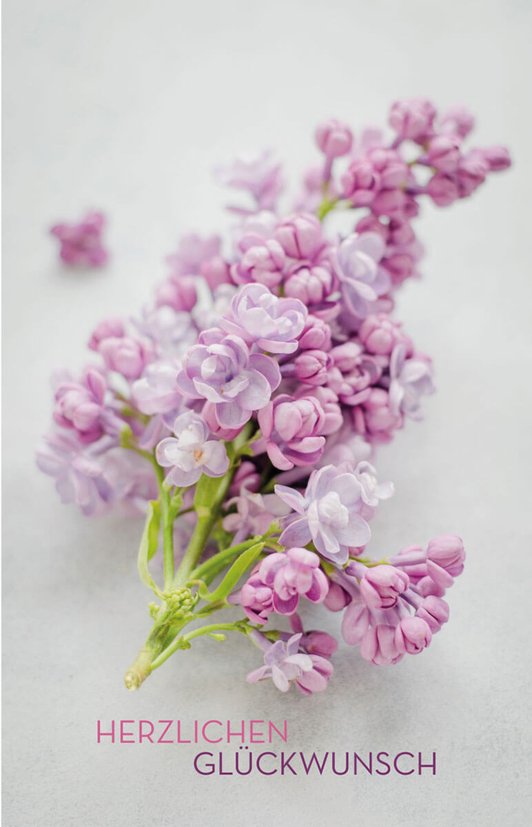 Glückwunschkarte mit zartvioletter Fliederblüte und dem Gruß "Herzlichen Glückwunsch"