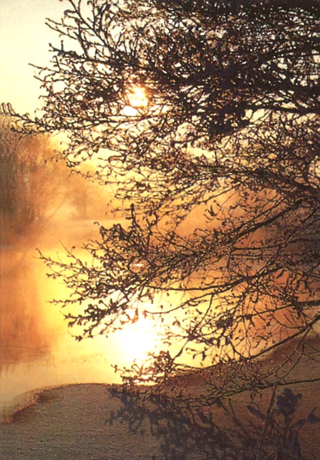 Trauer Erinnerungsbild mit Motivdruck eines Sonnenuntergang hinter Bäumen am Fluss - Vorderseite