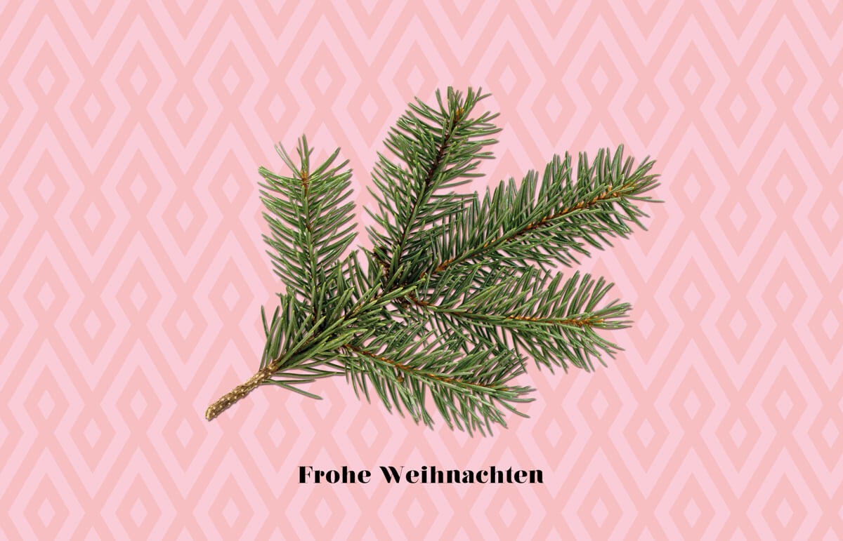 Weihnachtskarte Mit Frohe Weihnachten Nadelzweig Auf Rosa Hintergrund Weihnachten Weihnachtskarten Moderne Weihnachtskarten Alle Karten De